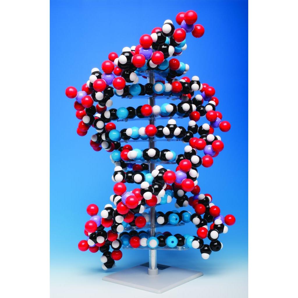 Molymod Molecular Models