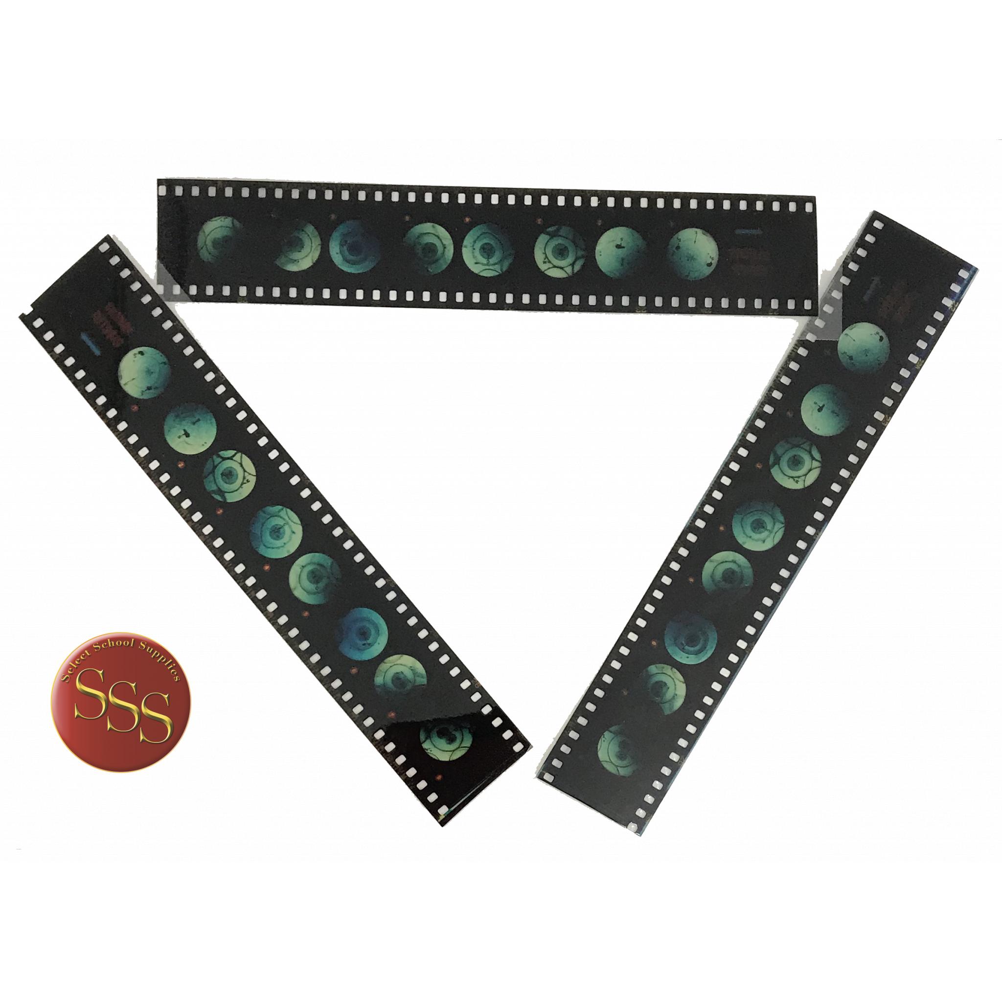 Microslide, Cells of Your Body