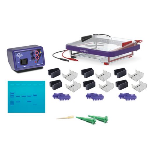 Classroom DNA Electrophoresis LabStation™