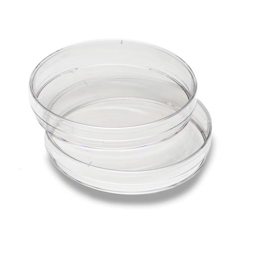 Large Petri Plates