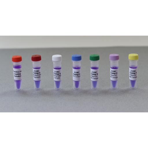 DNA Samples ONLY for 24 Gels in Microtest Tubes