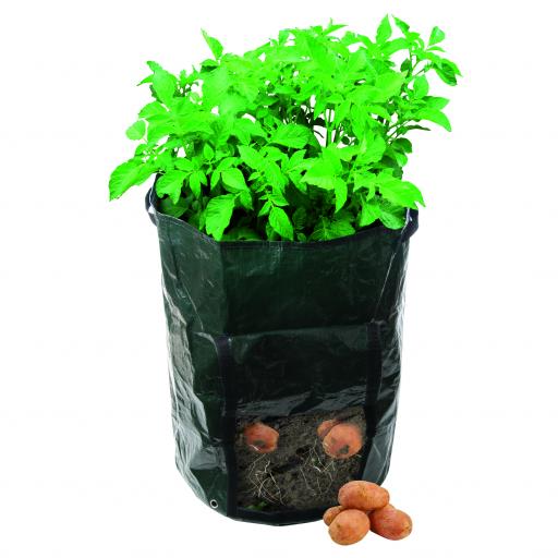 Potato Planting Bag